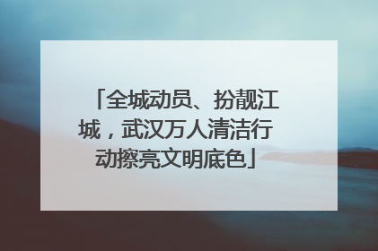 全城动员、扮靓江城，武汉万人清洁行动擦亮文明底色