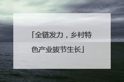 全链发力，乡村特色产业拔节生长