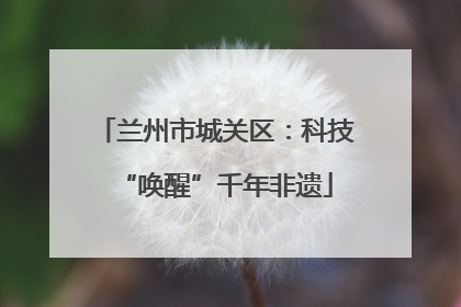 兰州市城关区：科技“唤醒”千年非遗