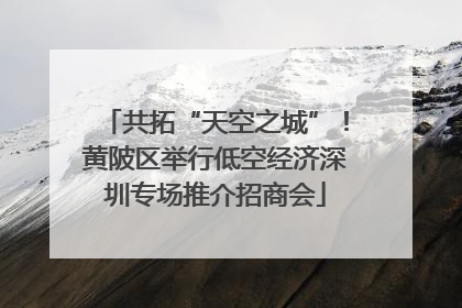 共拓“天空之城”！黄陂区举行低空经济深圳专场推介招商会