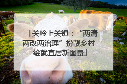 关岭上关镇：“两清两改两治理”扮靓乡村 绘就宜居新图景