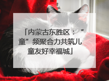 内蒙古东胜区：“童”频聚合力共筑儿童友好幸福城