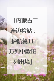 内蒙古二连边检站：护航第11万列中欧班列出境