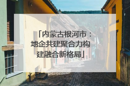内蒙古根河市：地企共建聚合力构建融合新格局