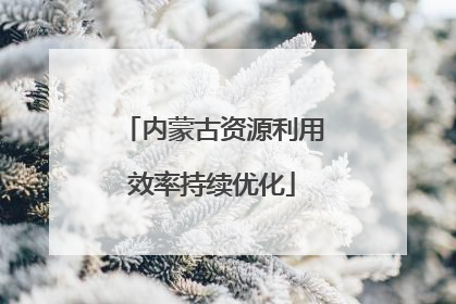 内蒙古资源利用效率持续优化