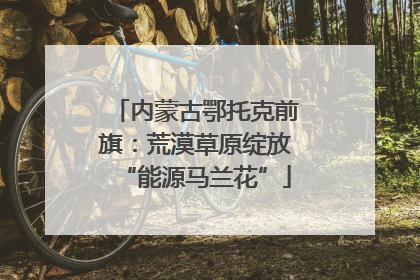 内蒙古鄂托克前旗：荒漠草原绽放“能源马兰花”