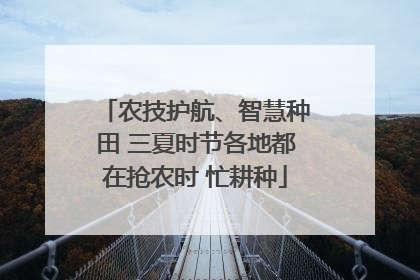农技护航、智慧种田 三夏时节各地都在抢农时 忙耕种