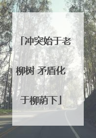 冲突始于老柳树 矛盾化于柳荫下