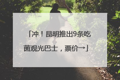 冲！昆明推出9条吃菌观光巴士，票价→