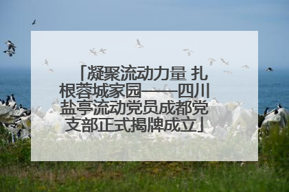 凝聚流动力量 扎根蓉城家园——四川盐亭流动党员成都党支部正式揭牌成立