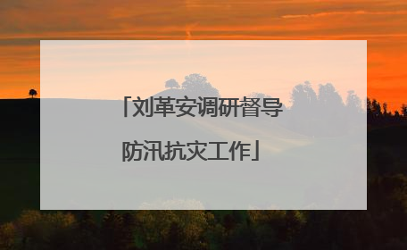 刘革安调研督导防汛抗灾工作