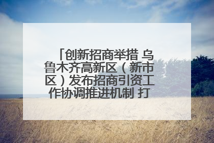创新招商举措 乌鲁木齐高新区（新市区）发布招商引资工作协调推进机制 打造投资发展新高地