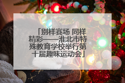 别样赛场 同样精彩——淮北市特殊教育学校举行第十届趣味运动会