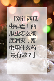 别让西瓜虫肆虐！西瓜虫怎么彻底消灭，潮虫用什么药最有效？