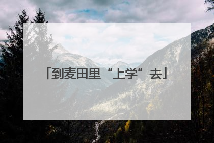 到麦田里“上学”去