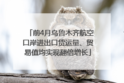 前4月乌鲁木齐航空口岸进出口货运量、贸易值均实现翻倍增长