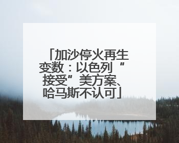 加沙停火再生变数：以色列“接受”美方案、哈马斯不认可