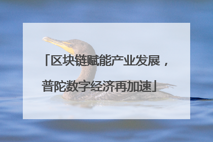 区块链赋能产业发展，普陀数字经济再加速
