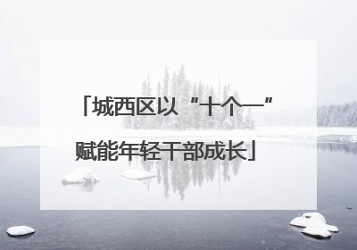 城西区以“十个一”赋能年轻干部成长