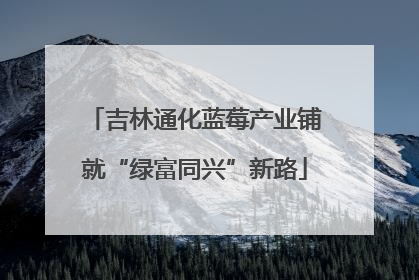 吉林通化蓝莓产业铺就“绿富同兴”新路