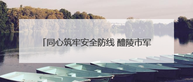 同心筑牢安全防线 醴陵市军地联合开展防汛救灾实战演练