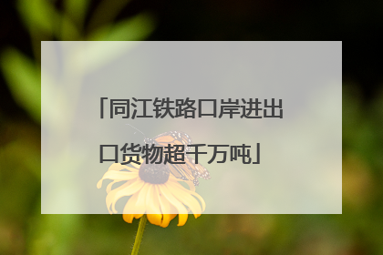 同江铁路口岸进出口货物超千万吨