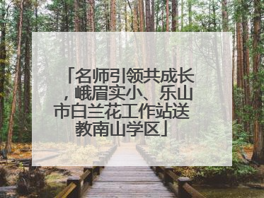 名师引领共成长，峨眉实小、乐山市白兰花工作站送教南山学区