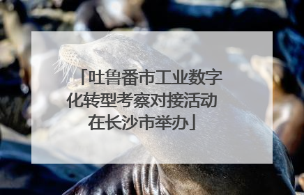 吐鲁番市工业数字化转型考察对接活动在长沙市举办