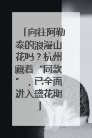 向往阿勒泰的浪漫山花吗？杭州藏着“同款”，已全面进入盛花期