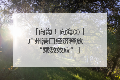 向海！向海③丨广州港口经济释放“乘数效应”