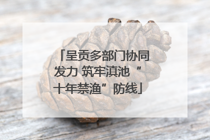 呈贡多部门协同发力 筑牢滇池“十年禁渔”防线