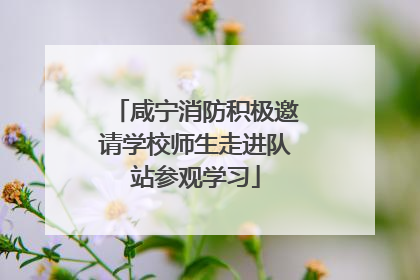 咸宁消防积极邀请学校师生走进队站参观学习