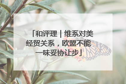 和评理｜维系对美经贸关系，欧盟不能一味妥协让步