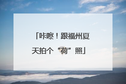 咔嚓！跟福州夏天拍个“荷”照