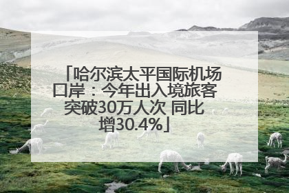哈尔滨太平国际机场口岸：今年出入境旅客突破30万人次 同比增30.4%