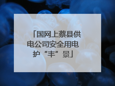 国网上蔡县供电公司安全用电护“丰”景
