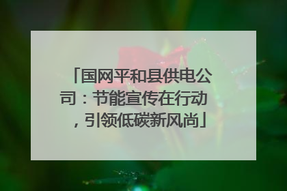 国网平和县供电公司：节能宣传在行动，引领低碳新风尚
