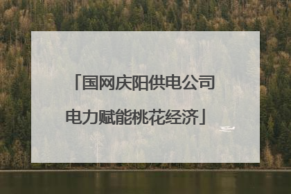 国网庆阳供电公司电力赋能桃花经济