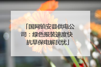 国网镇安县供电公司：绿色报装速度快 抗旱保电解民忧
