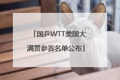国乒WTT美国大满贯参赛名单公布