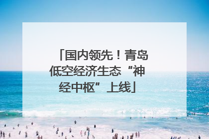 国内领先！青岛低空经济生态“神经中枢”上线