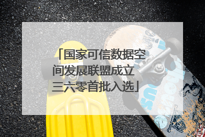 国家可信数据空间发展联盟成立 三六零首批入选
