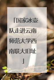 国家冰壶队走进云南师范大学西南联大旧址