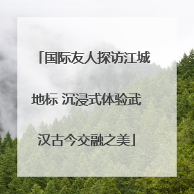 国际友人探访江城地标 沉浸式体验武汉古今交融之美