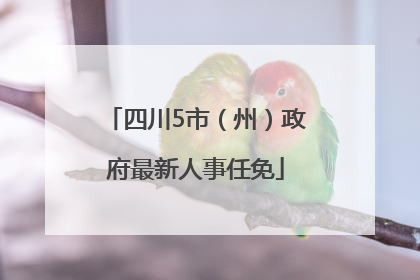 四川5市（州）政府最新人事任免