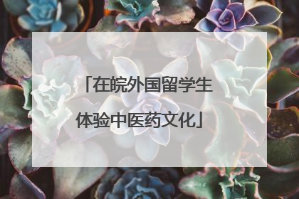 在皖外国留学生体验中医药文化