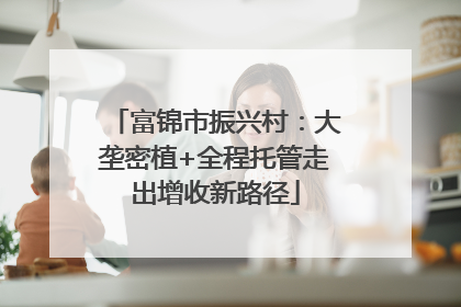富锦市振兴村：大垄密植+全程托管走出增收新路径