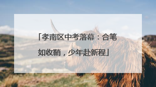 孝南区中考落幕：合笔如收鞘，少年赴新程