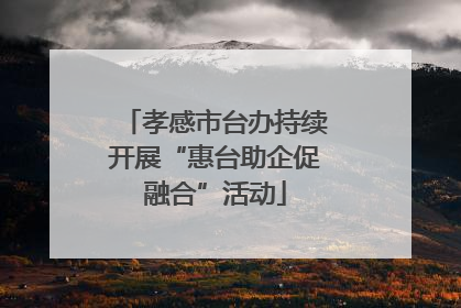 孝感市台办持续开展“惠台助企促融合”活动