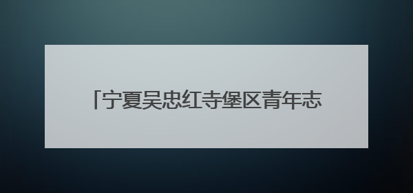 宁夏吴忠红寺堡区青年志愿者参加生态护绿行动